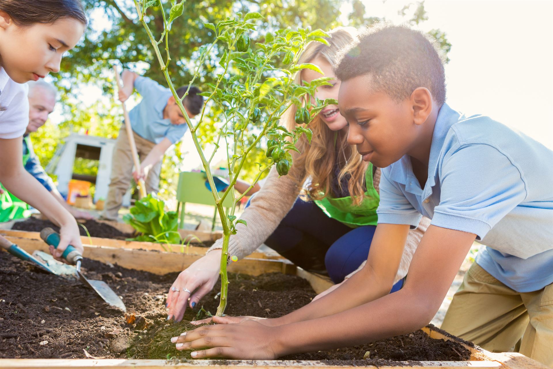 Schüler bepflanzen ein Beet - Erlebniswerkstätten im Haus der Kinder im Spessart